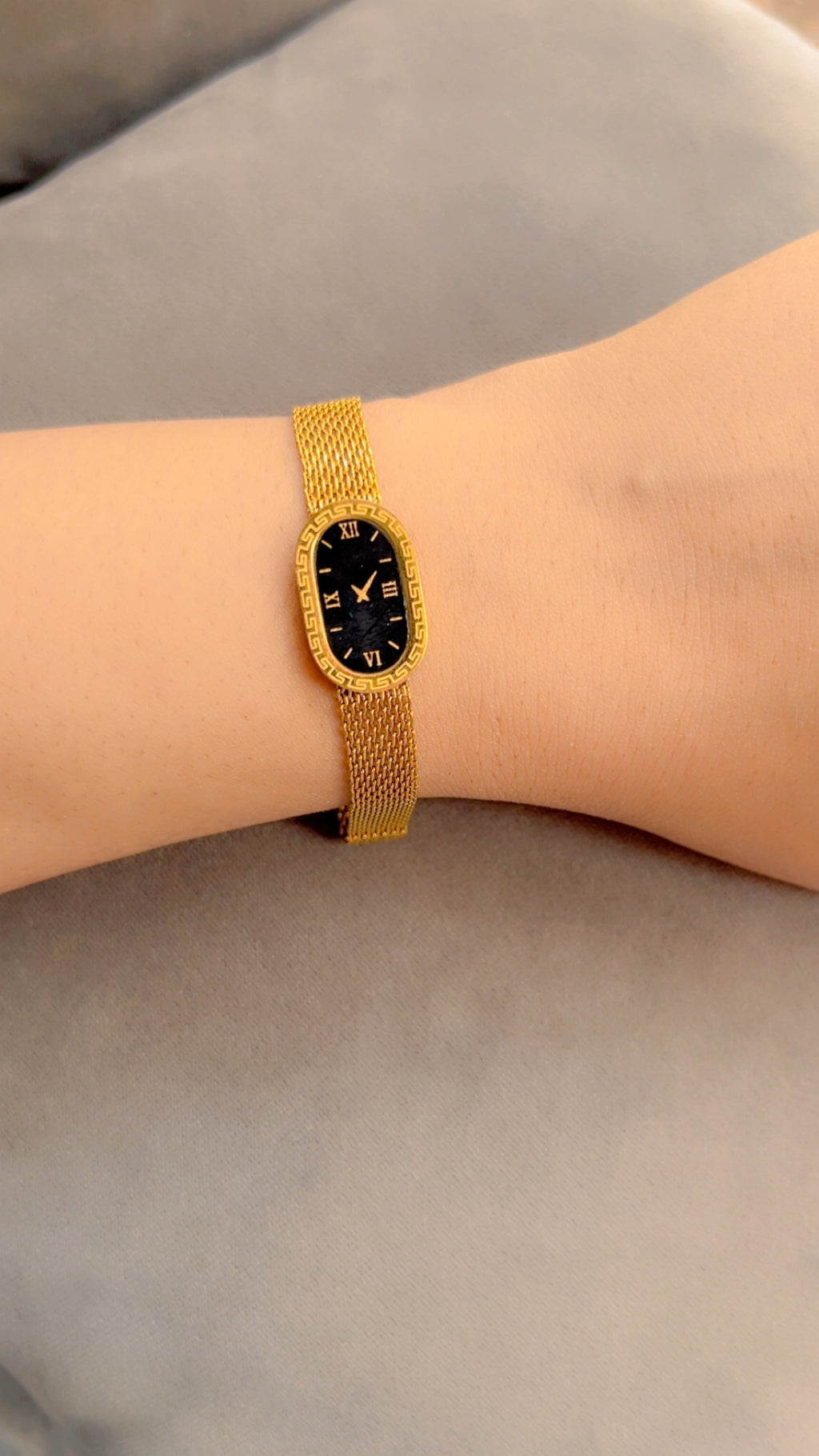 Oval Link Gold Mesh Timepiece