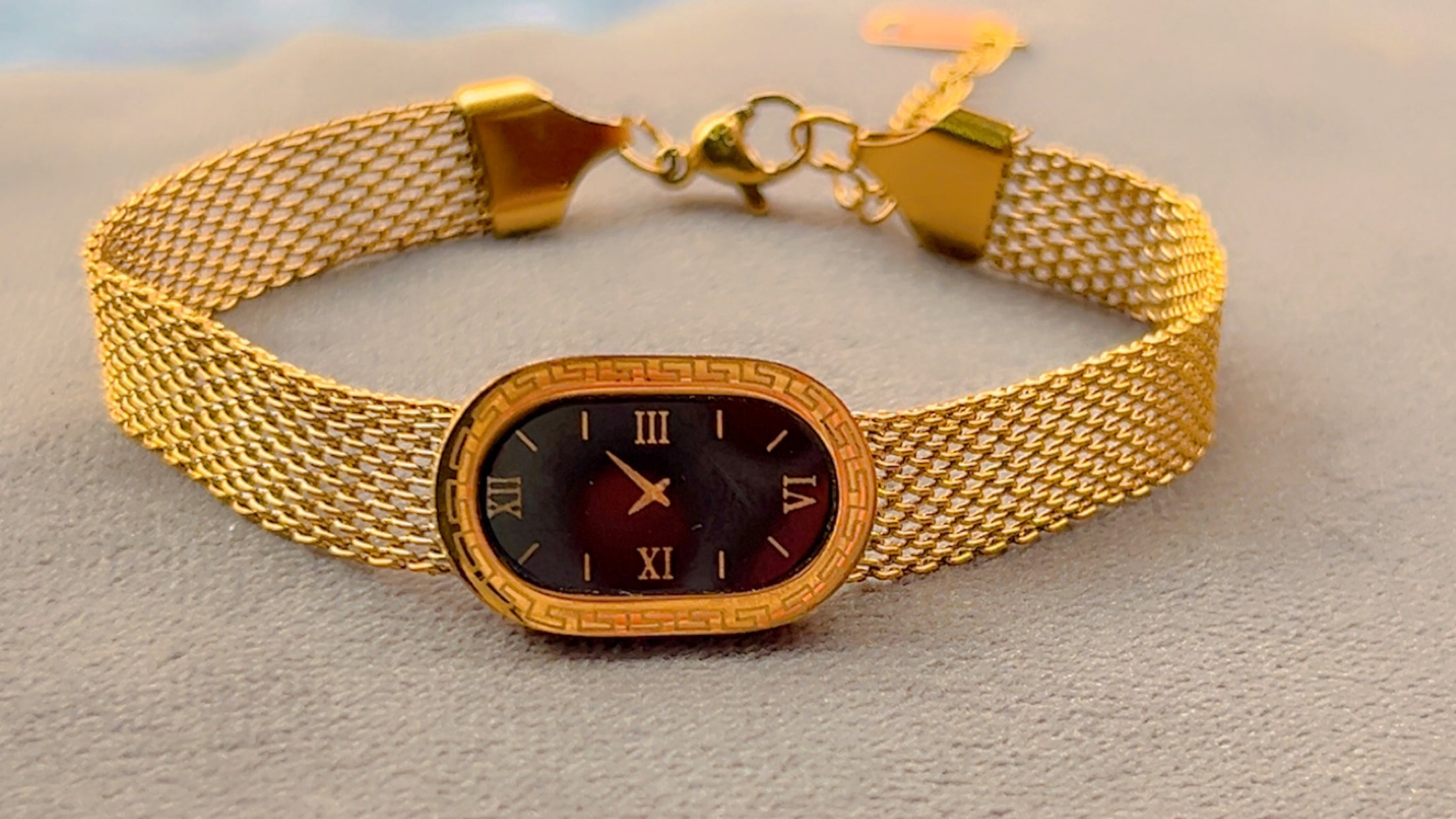 Oval Link Gold Mesh Timepiece
